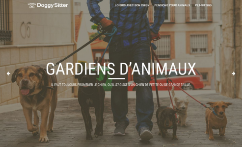 https://www.doggysitter.fr